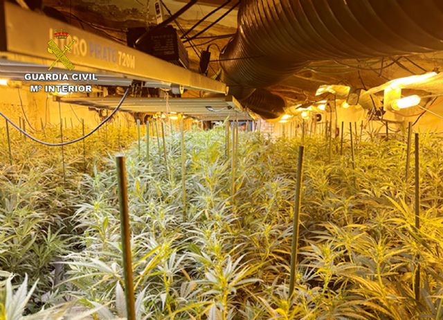 La Guardia Civil desmantela un punto de cultivo y elaboración de droga con cerca de 2.500 plantas de marihuana en una casa cueva